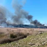 Los bomberos acudieron al incendio que se desató en los juncos junto al lago