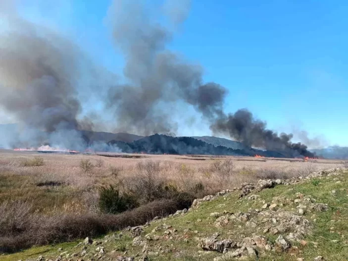 Los bomberos acudieron al incendio que se desató en los juncos junto al lago